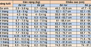 Chiều Cao Và Cân Nặng Bé Gái 6 Tuổi