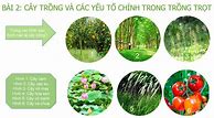 Công Nghệ 10 Kết Nối Tri Thức Trắc Nghiệm Bài 2 3