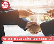 Thù Lao Môi Giới Và Hoa Hồng Môi Giới