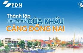 Tỷ Giá Hải Quan Đồng Nai Hôm Nay